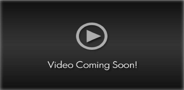 Together in the Journey